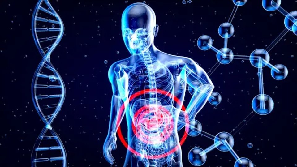 A digital illustration of a human figure highlighting the internal organs, surrounded by DNA strands and molecular structures, representing biological and anatomical concepts.